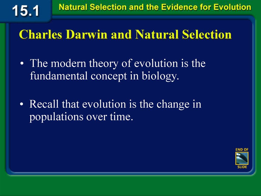 explain darwin's theory of natural selection